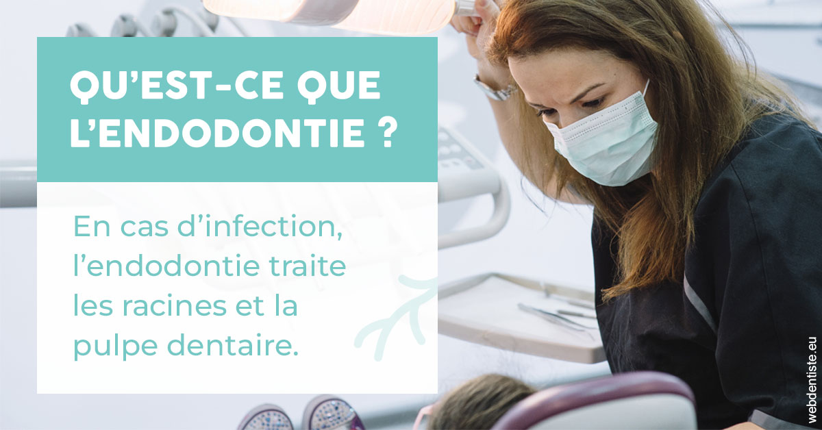 https://www.chirurgien-maxillo-facial-rouen.fr/2024 T1 - Endodontie 01