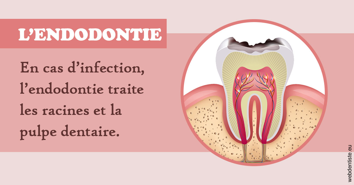 https://www.chirurgien-maxillo-facial-rouen.fr/L'endodontie 2